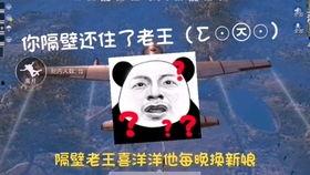 吃鸡真瓜,一场虚拟世界的真实生存挑战