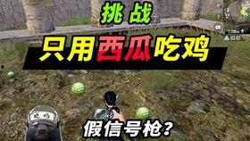 吃鸡真瓜,一场虚拟世界的真实生存挑战