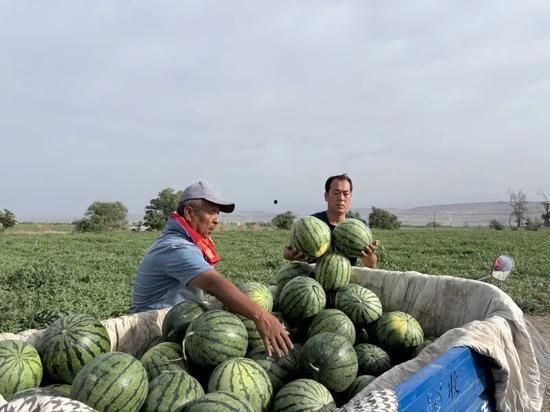 常营镇吃瓜,清凉一夏，品味生活