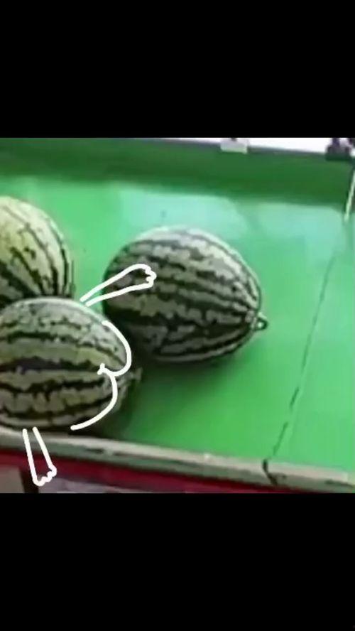 怎样画吃瓜的画,吃瓜画法全解析