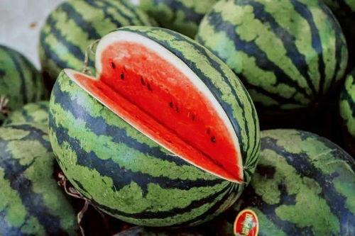 吃瓜必备手册,揭秘娱乐圈幕后真相与趣味故事