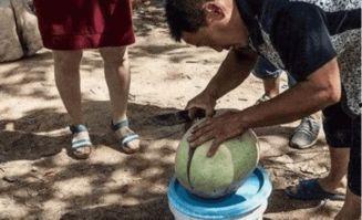 路人街头吃瓜,路人围观街头吃瓜，现场热闹非凡