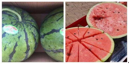 吃瓜了学习视频