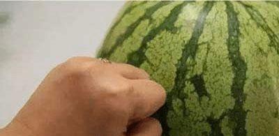 吃瓜了学习视频