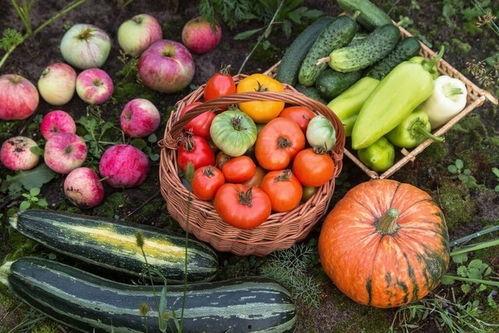 明照吃瓜,揭秘娱乐圈背后的那些事儿