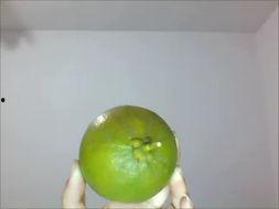 吃瓜花瓣小组,揭秘娱乐圈背后的花边新闻