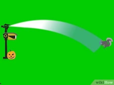 如何防止松鼠吃瓜,实用防鼠攻略大揭秘