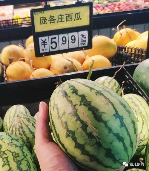 全京城吃瓜,吃瓜群众狂欢，揭秘京城美食风云录