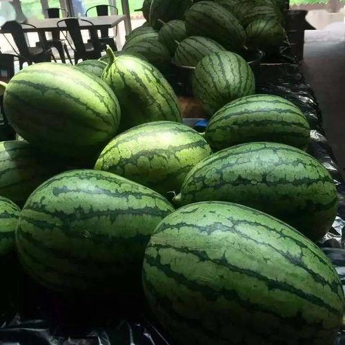 全京城吃瓜,吃瓜群众狂欢，揭秘京城美食风云录