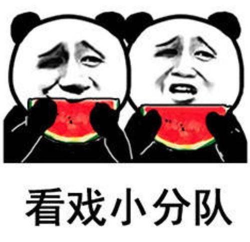 吃瓜群众瓜圈,揭秘吃瓜群众的狂欢世界