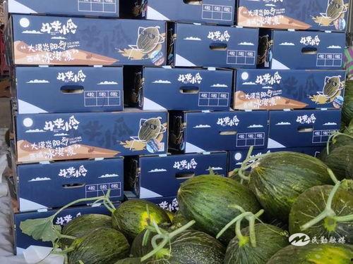 牛退瓜怎么吃,解锁美味新境界