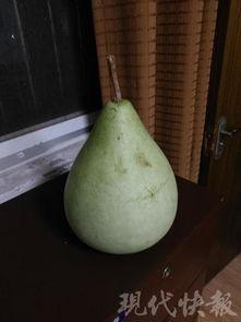 盐城烧瓜怎么吃,传统美食的独特风味与多样吃法