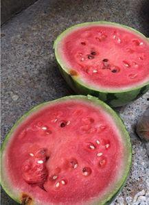 盐城烧瓜怎么吃,传统美食的独特风味与多样吃法