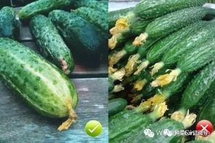 吃瓜大瓜花,揭秘吃瓜大瓜花的传奇故事