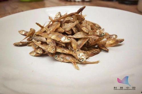 讨厌小鱼干吃瓜,一场网络热议背后的真相