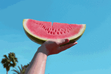 夏日吃瓜少女心,少女心满满的美味时光