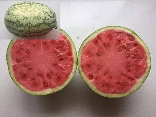 大暑期吃瓜,盘点那些清凉一夏的趣味新闻