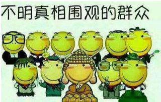 吃瓜群众赞扬,吃瓜群众点赞，共享欢乐时光