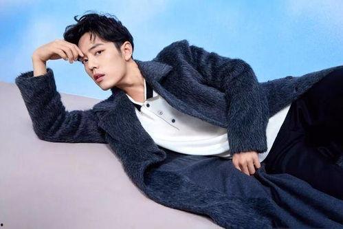 吃瓜的肖肖,揭秘娱乐圈幕后故事