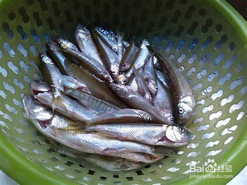 小鱼吃瓜视频在哪,热门内容背后的制作奥秘