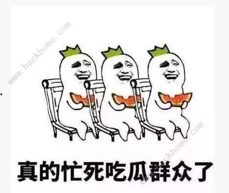 吃瓜表情汇总大全,趣味横生的表情包世界