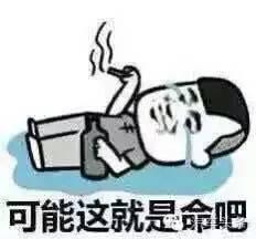 吃瓜表情汇总大全,趣味横生的表情包世界