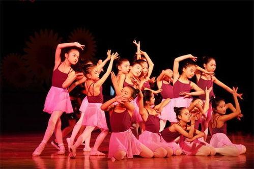 上海舞蹈吃瓜事件,一场网络热议的舞蹈争议揭秘