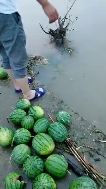 河边吃瓜的,吃瓜群众的日常趣事