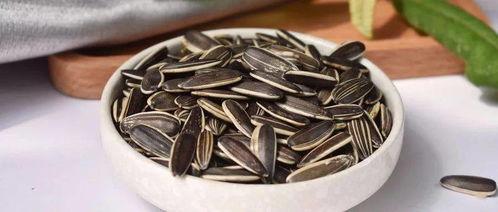 瓜芯解说吃瓜子,解锁吃瓜子的艺术与乐趣