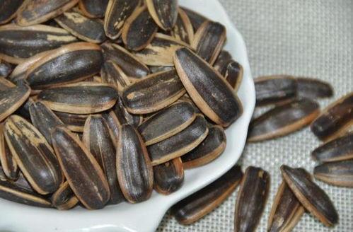 瓜芯解说吃瓜子,解锁吃瓜子的艺术与乐趣