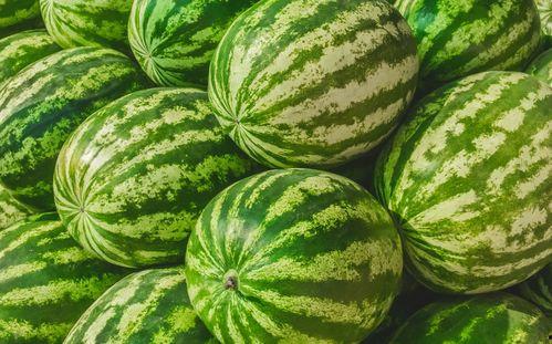 如何在网上吃瓜,如何轻松成为“瓜界”达人