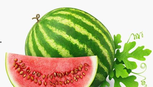 偃师人吃瓜,探寻偃师人独特的“吃瓜”文化