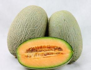 吃菌子可以吃哈密瓜吗,探索菌子与哈密瓜的完美搭配