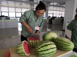 幸福小区吃瓜,邻里和谐，共享瓜香时光