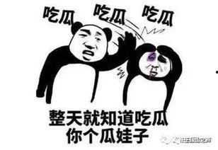 终于等到你吃瓜