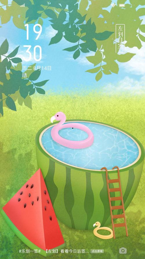 快乐吃瓜站,快乐吃瓜站带你畅游八卦盛宴