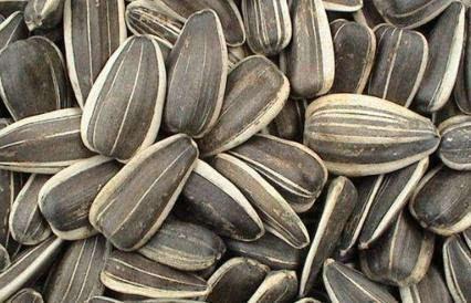 孕期吃葵瓜禁忌,孕妈妈必知的营养安全指南