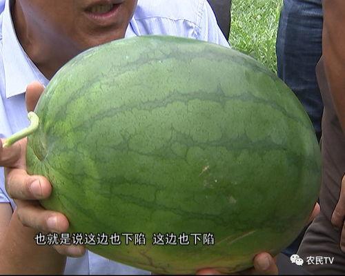 农职吃瓜,趣味横生的校园生活剪影