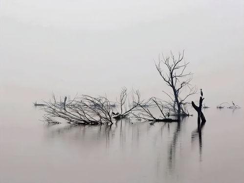 一蓑烟雨吃瓜服,探寻古典服饰之美