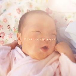 小牛吃瓜,一场田园牧歌的趣味之旅