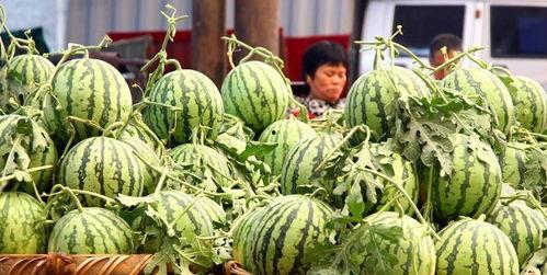 老瓜新吃徐州,老瓜新吃，味蕾盛宴