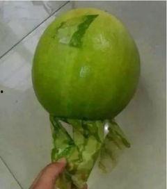 吃丑八怪瓜,品味生活中的小确幸