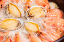 母鸡可以吃瓜吗,探索家禽的饮食新选择