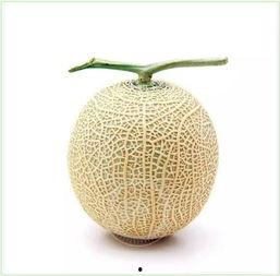 小孩闷头吃瓜头像,萌娃闷头吃瓜，萌态十足