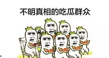 吃瓜群众的惊讶,揭秘娱乐圈惊人内幕！