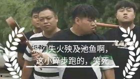 城门失火殃及池鱼 吃瓜,吃瓜群众的意外遭遇