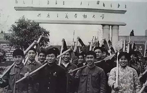 对照知青组吃瓜日常,对照知青组吃瓜日常的温馨回忆