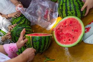 最新恶心吃瓜视频,惊悚揭秘！最新吃瓜视频揭露惊人内幕