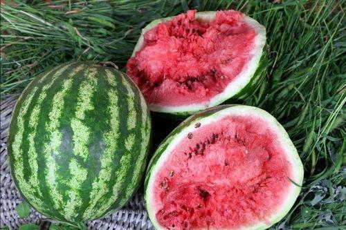 吃瓜事件地址,网络热议背后的真相与反思