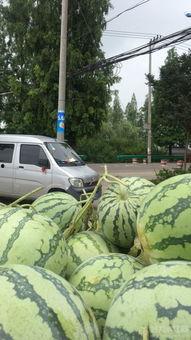 吃瓜论坛社区,揭秘娱乐圈幕后故事，带你走进明星生活